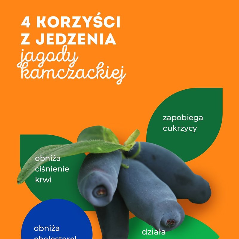 INFO_jagoda-kamczacka_1080x1350_21.jpg