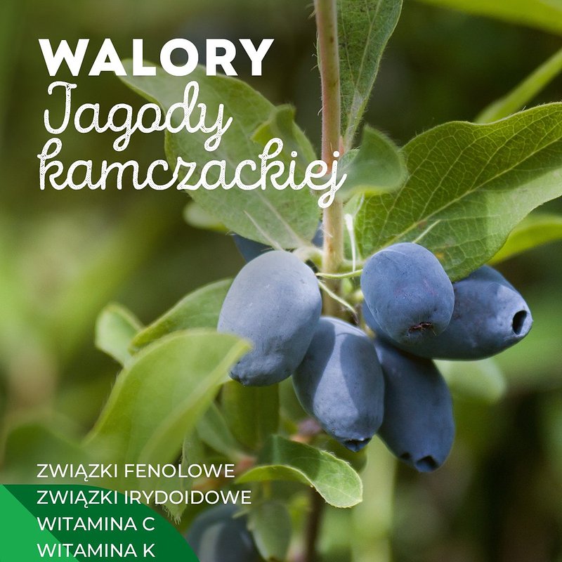 INFO_jagoda-kamczacka_1080x1350_19.jpg