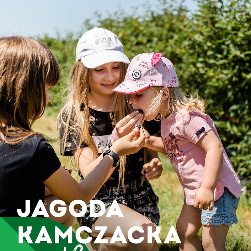 INFO_jagoda-kamczacka_1080x1350_17.jpg