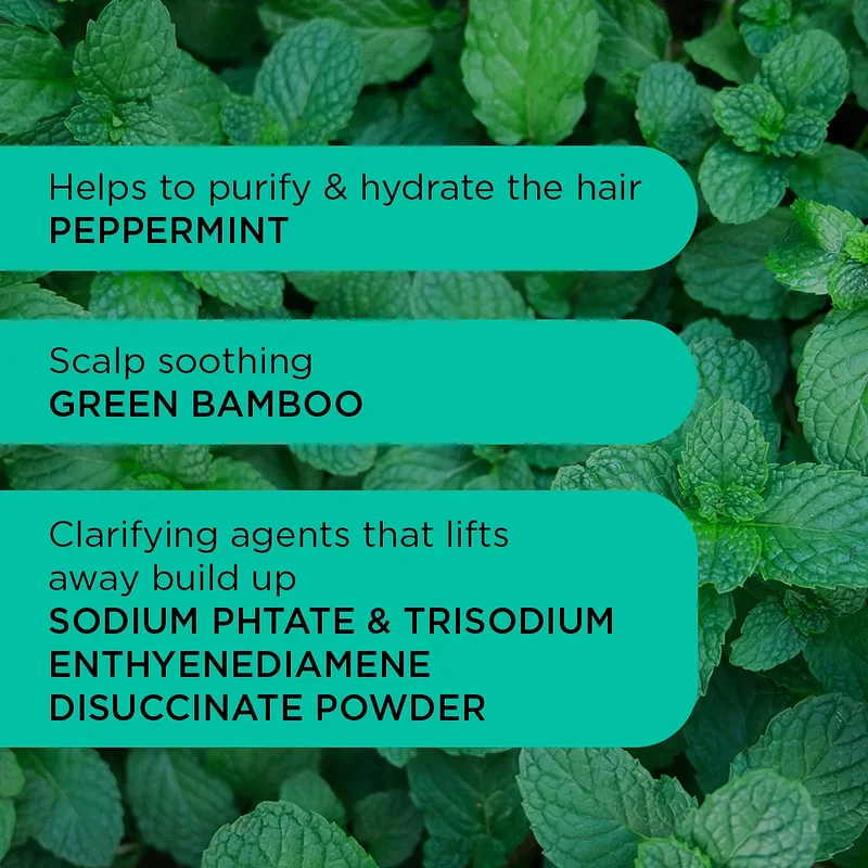 TILE-4_Detox-Dynamo_Shampoo_Ingredients_1000x1000_bc374cce-4aac-4089-9e9b-afd90425c47f.webp