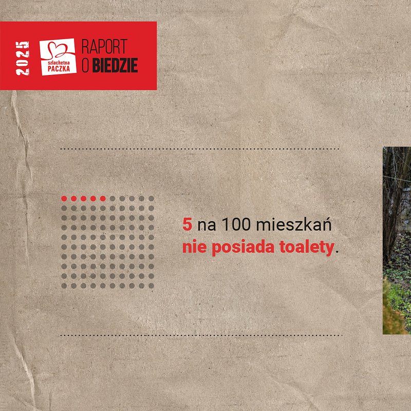 Raport 2025 toaleta.jpg