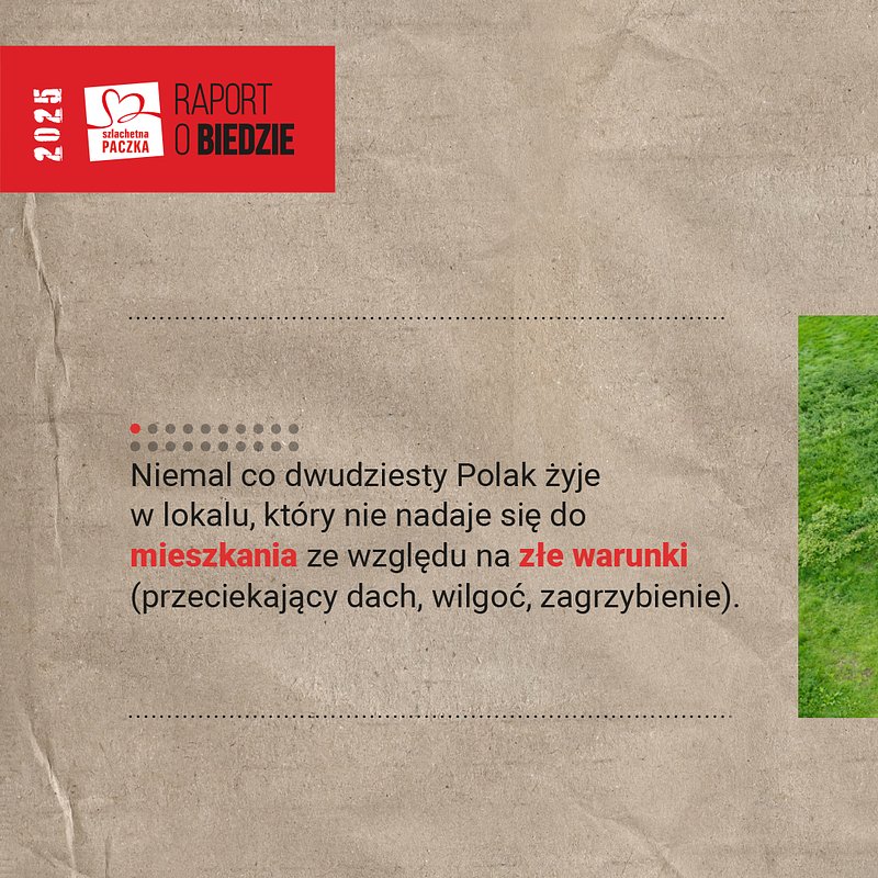 Raport 2025 mieszkanie.jpg