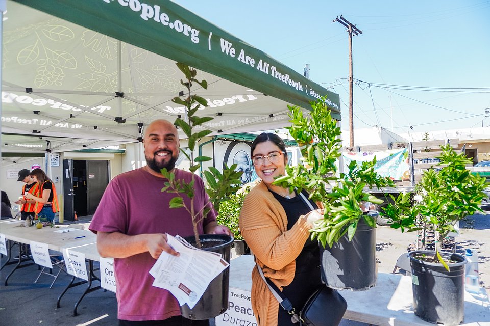 Couple taking home free fruit trees