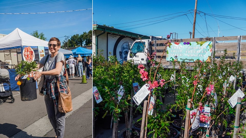 Follow Your Heart.jpg