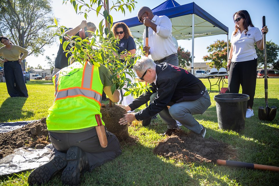 Partners Planting Tree .jpeg