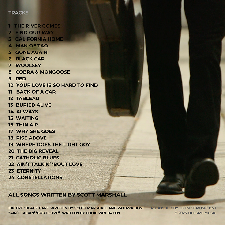 Tracklist for 'Lifesize' album