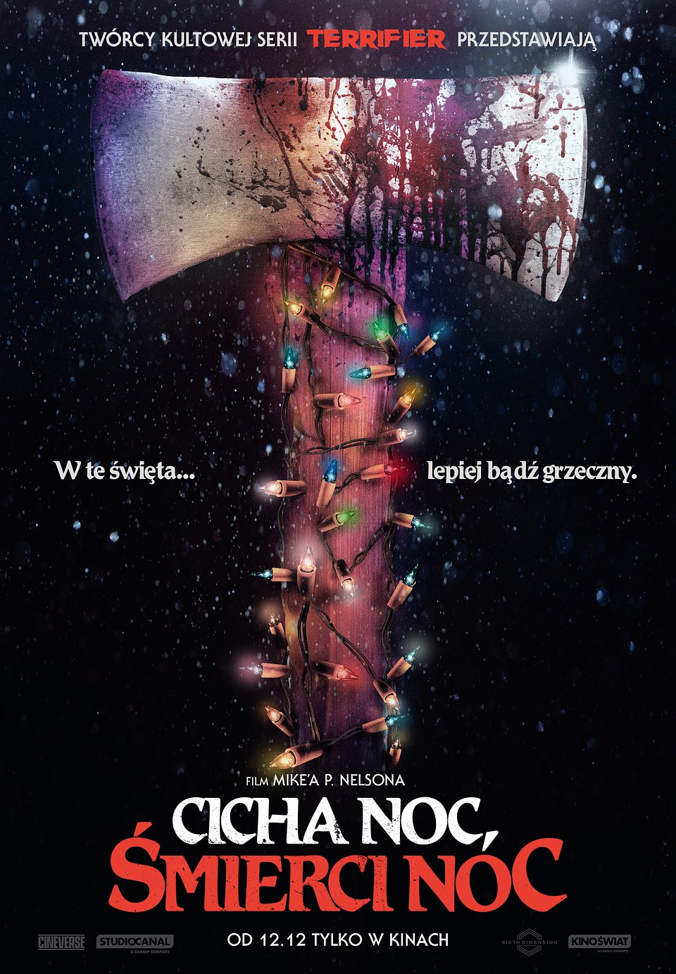CICHA NOC SMIERCI NOC_plakat teaserowy.jpg