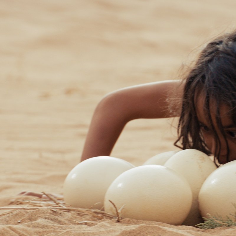 L-Enfant-du-desert-Stills-Press-Photos-4096x1716-LEDD-STILLS-4096x1716-R709-TIFF-20260116-1-3-1-tif.jpg