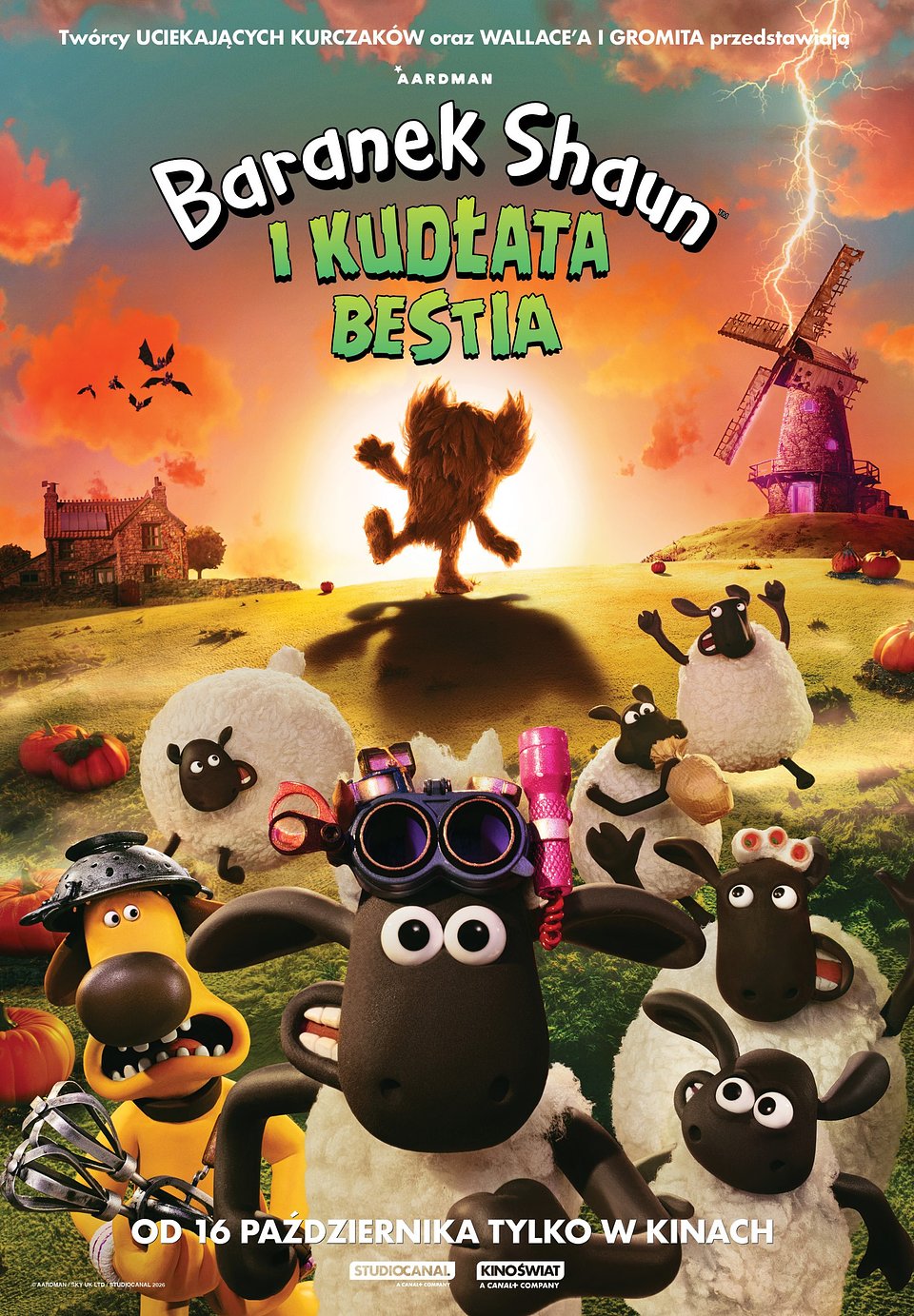 BaranekShaun_B1_PL 2.jpg