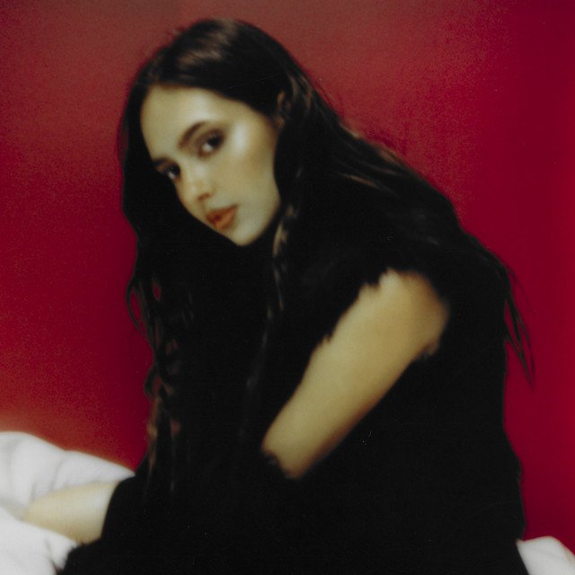 Cover of diament by Zalia.jpg