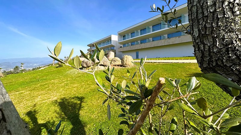 hotel-cotto-do-gatto-gallerypredio.jpg