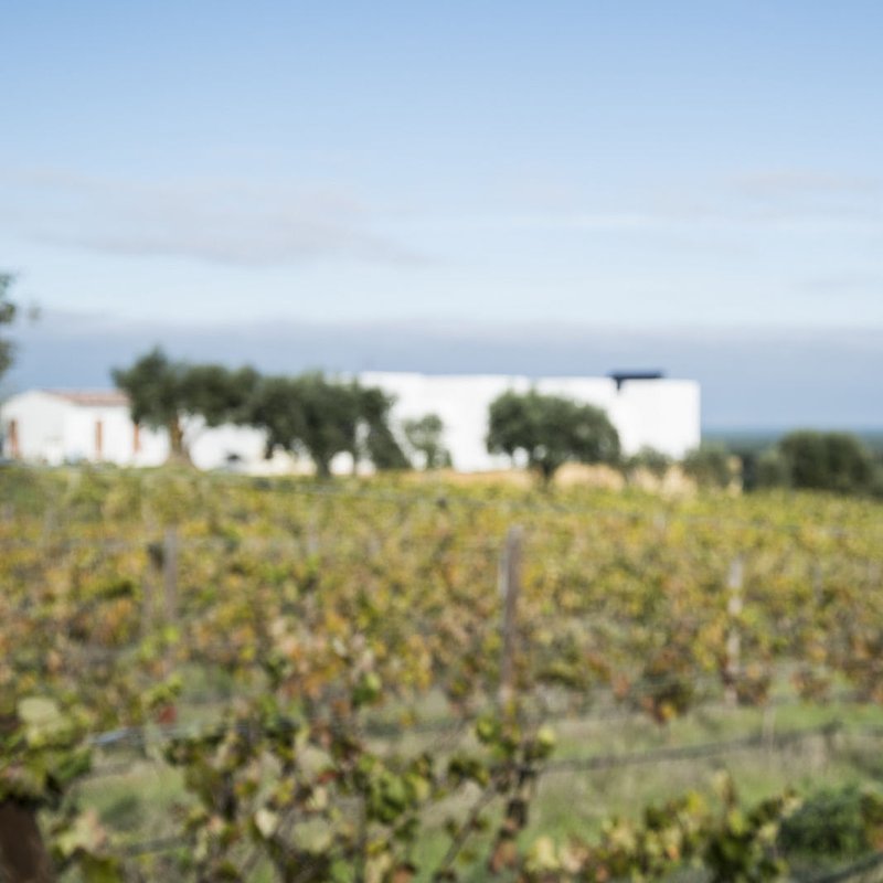 A Serenada_Small Portuguese Hotels5.jpg