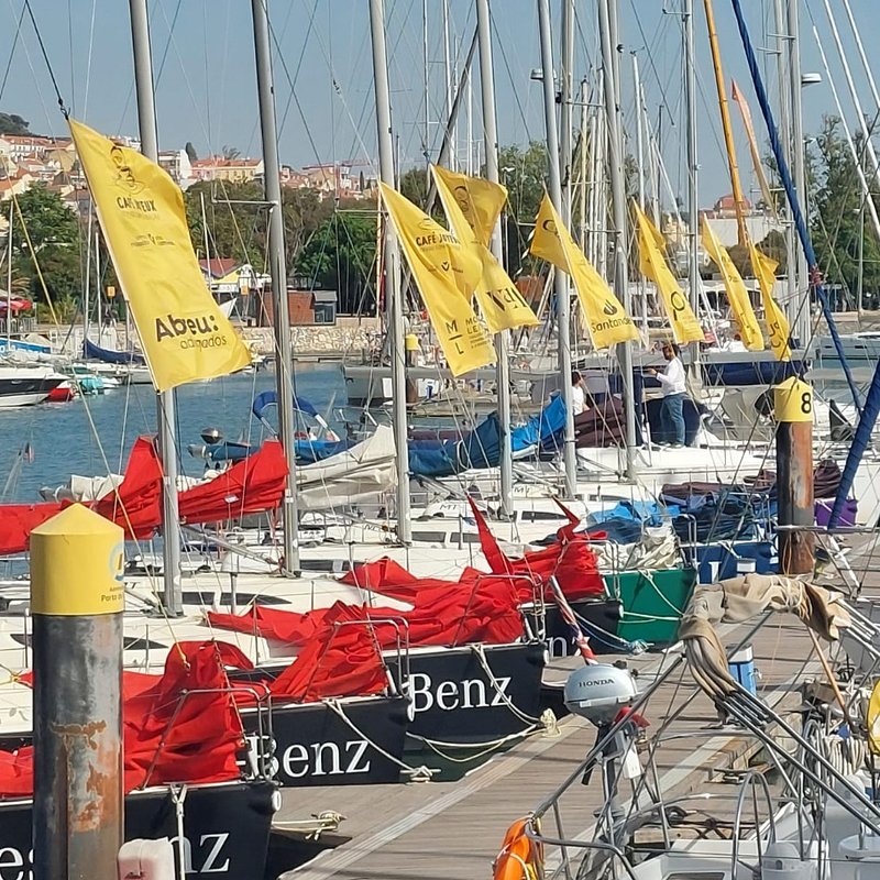 Café Joyeux_regata solidária_1.jpeg