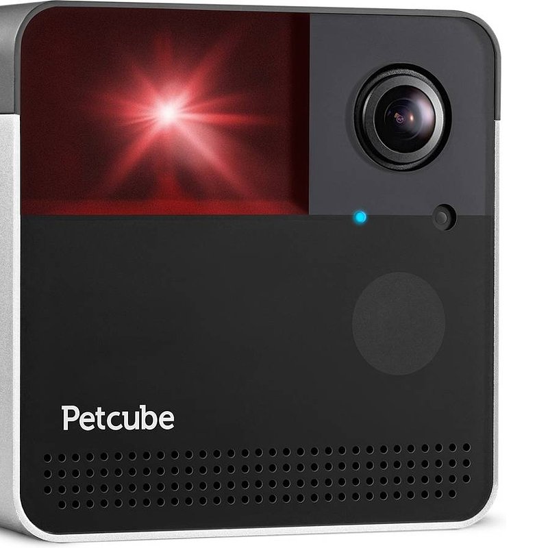 Câmara de Vigilância para Cão ou Gato PETCUBE Play 2.jpeg