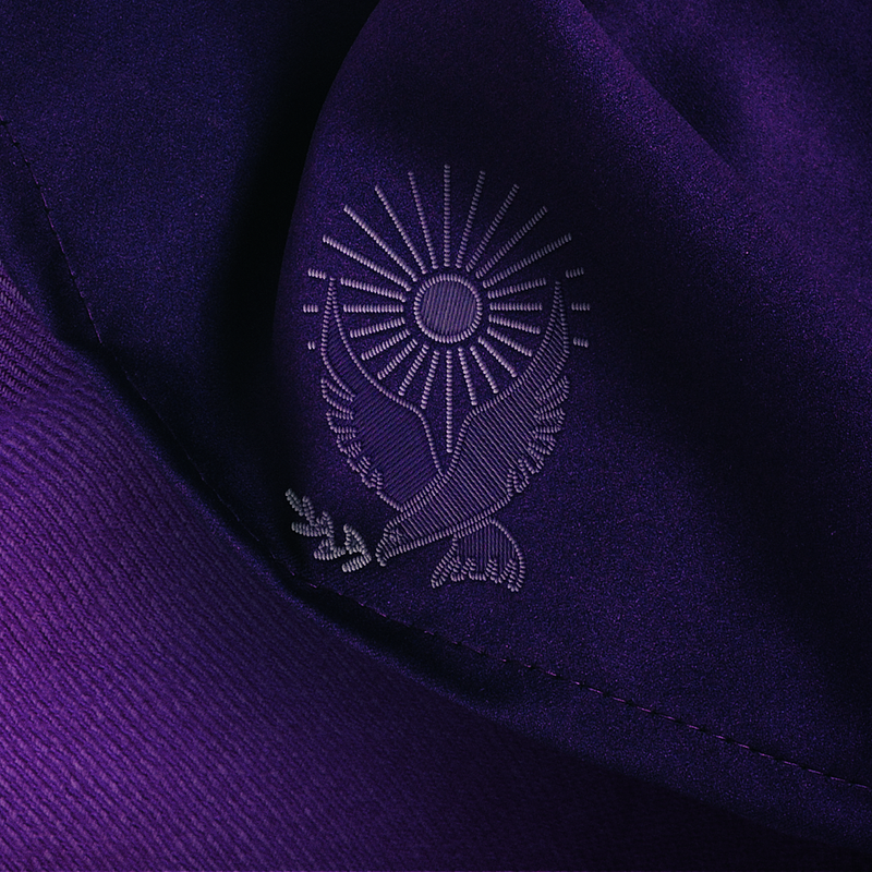 Os Testemunhos_Disney+.png