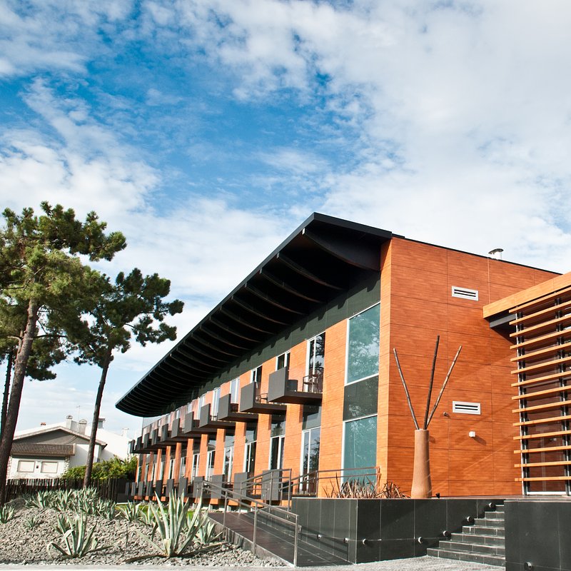 SPH - Evidência Belverde (1).jpg