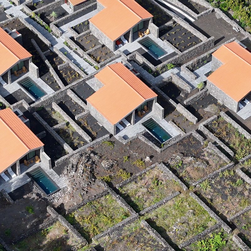 Fotos Novas_Pico Vineyards48.jpg