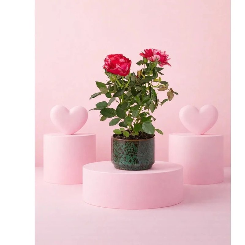 07. Mini rosa com vaso de cerâmica verde - Planta com flor natural (PUR PLANT).jpg