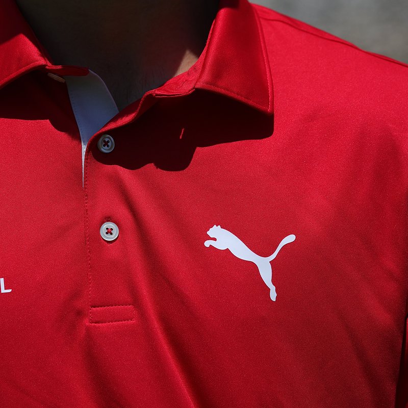 Detalhe Polo 1.JPG