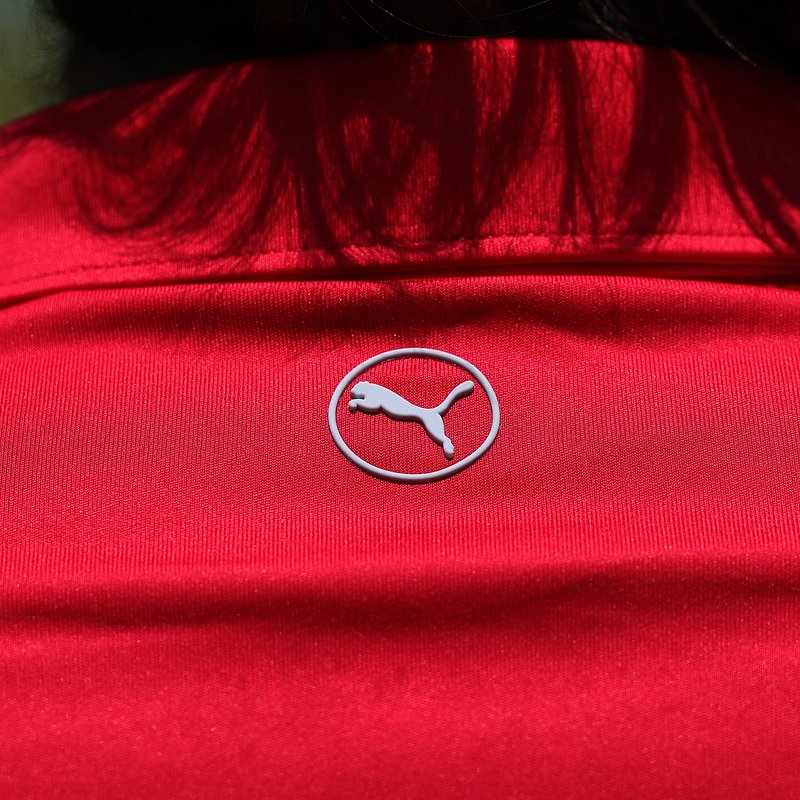 Detalhe Polo 5.JPG