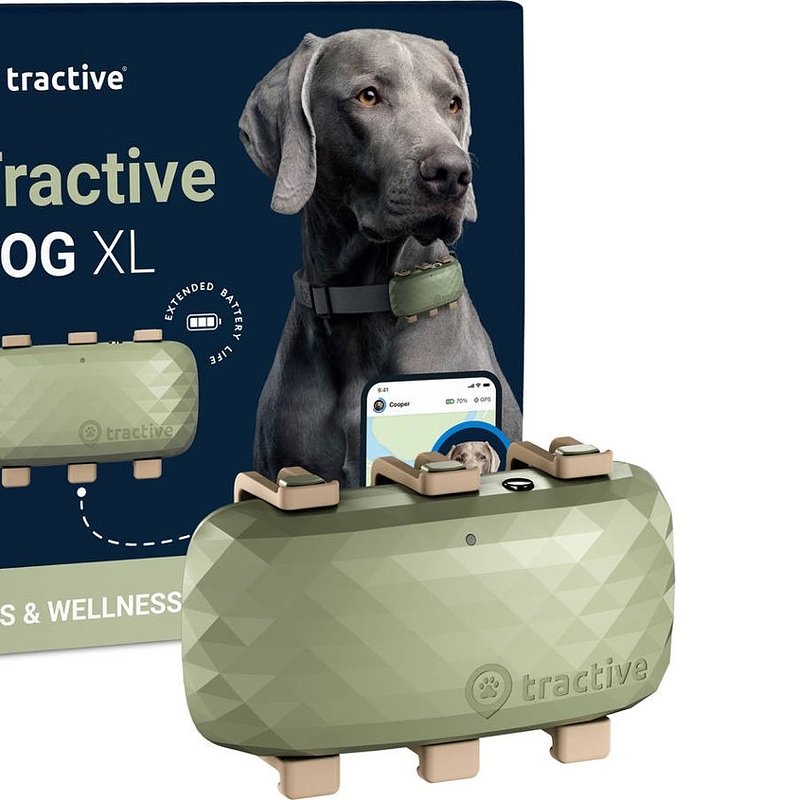03. Worte_Localizador GPS para Cão TRACTIVE XL (Verde).jpeg