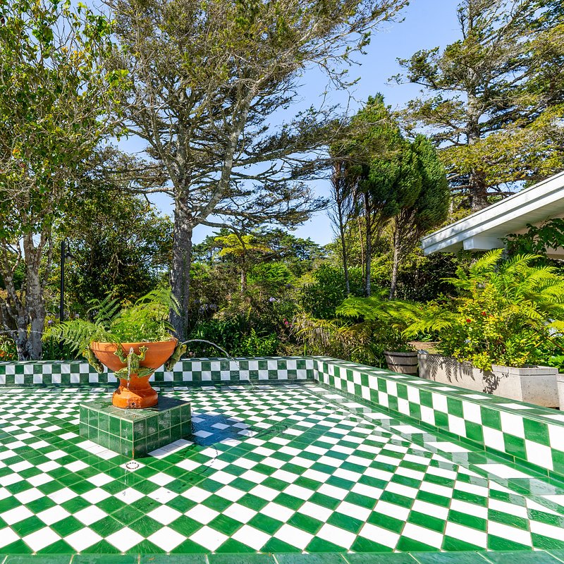 Samambaia_vista jardim.jpg