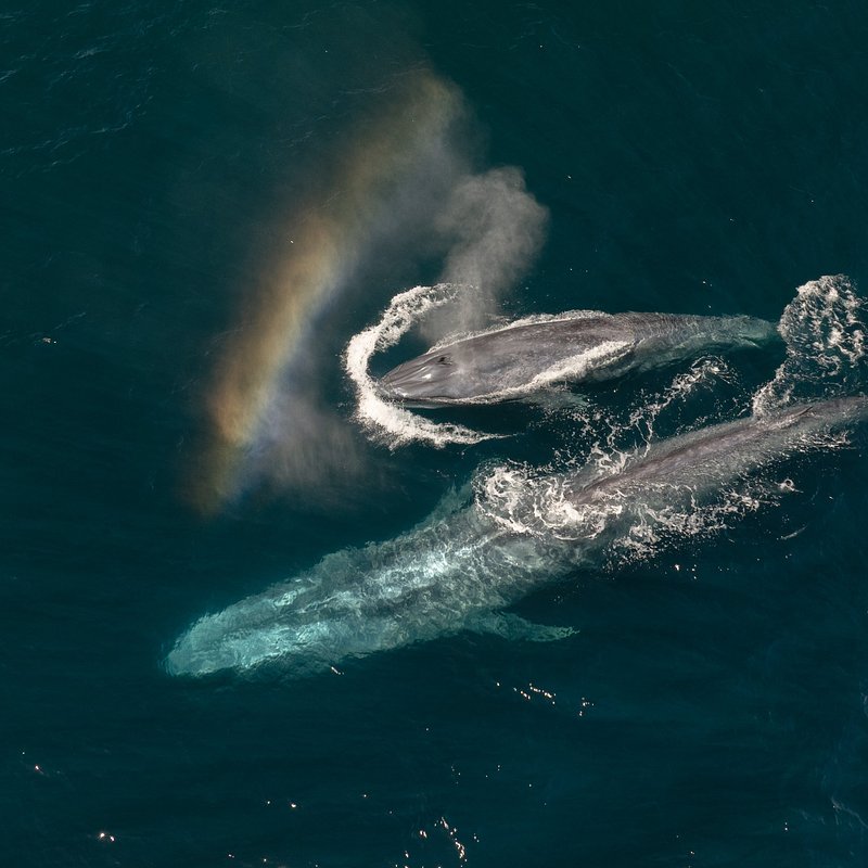 ExpeditionSavingOurSeas_MM10514_260210_00600.jpg
