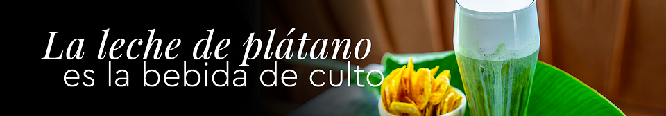 Mesa de trabajo 1 copia 9.png