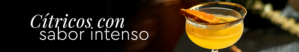 Mesa de trabajo 1 copia 6.png