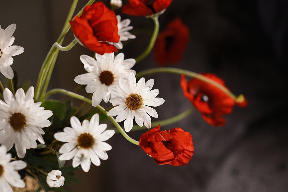 posciele maki 04.jpg