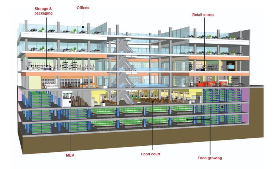 Ilustracyjny widok modernizacji nieużywanej części domu towarowego, gdzie uprawa żywności staje się formą rewitalizacji ©Arup