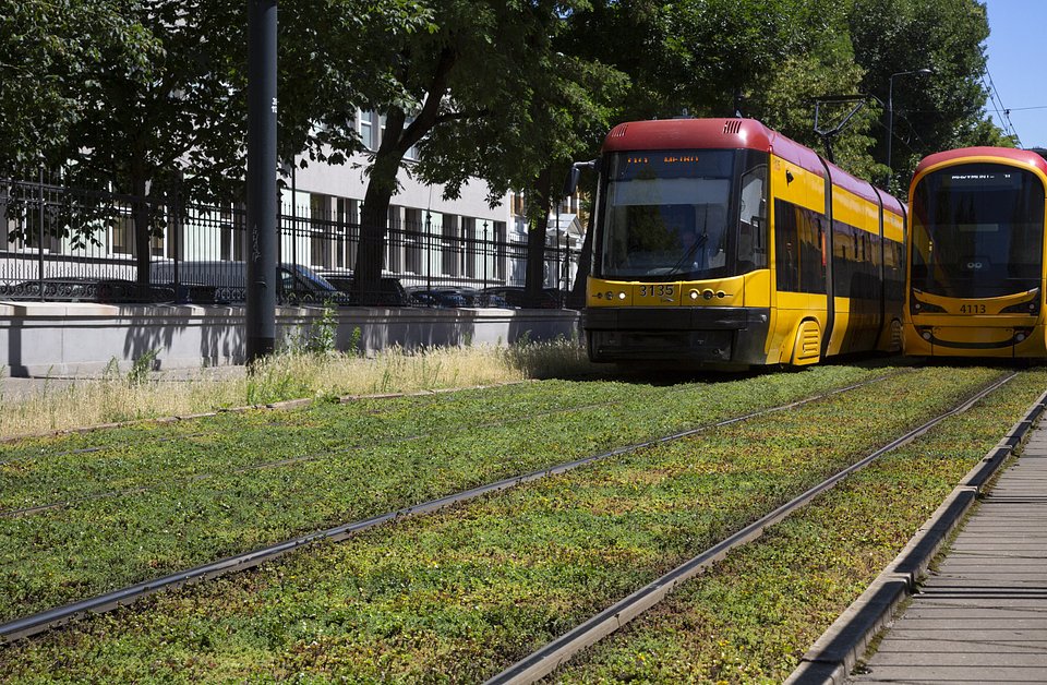 Dörken, Zielone torowisko w Warszawie
