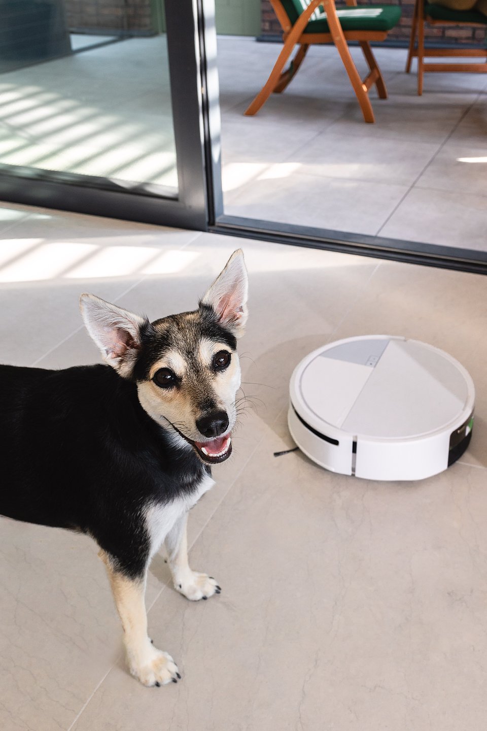 2N0A2945irobot (1).jpg