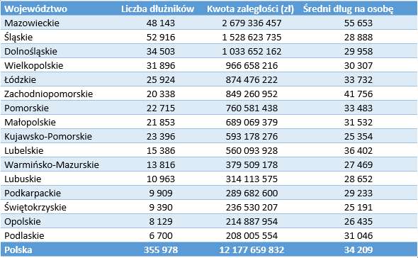 Źródło: Rejestr Dłużników BIG InfoMonitor i baza BIK
