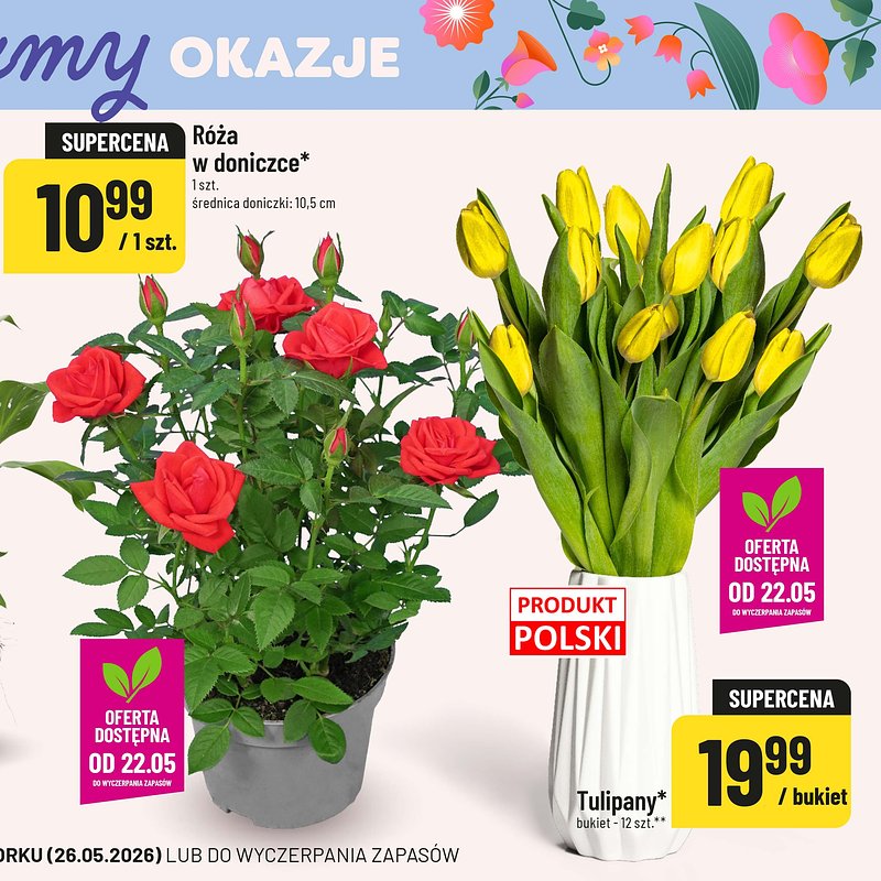 03_GRAFIKA 3.jpg