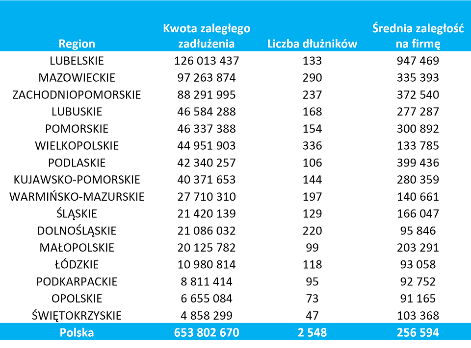 Źródło: Rejestr Dłużników BIG InfoMonitor i baza BIK