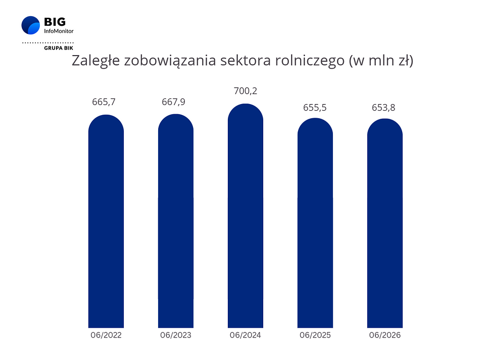 Źródło: Rejestr Dłużników BIG InfoMonitor i baza informacji kredytowej BIK