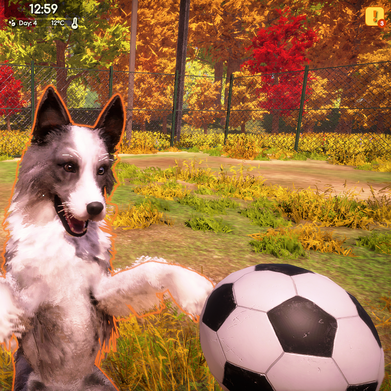 Animal_Shelter_2_screen_15 (1).png