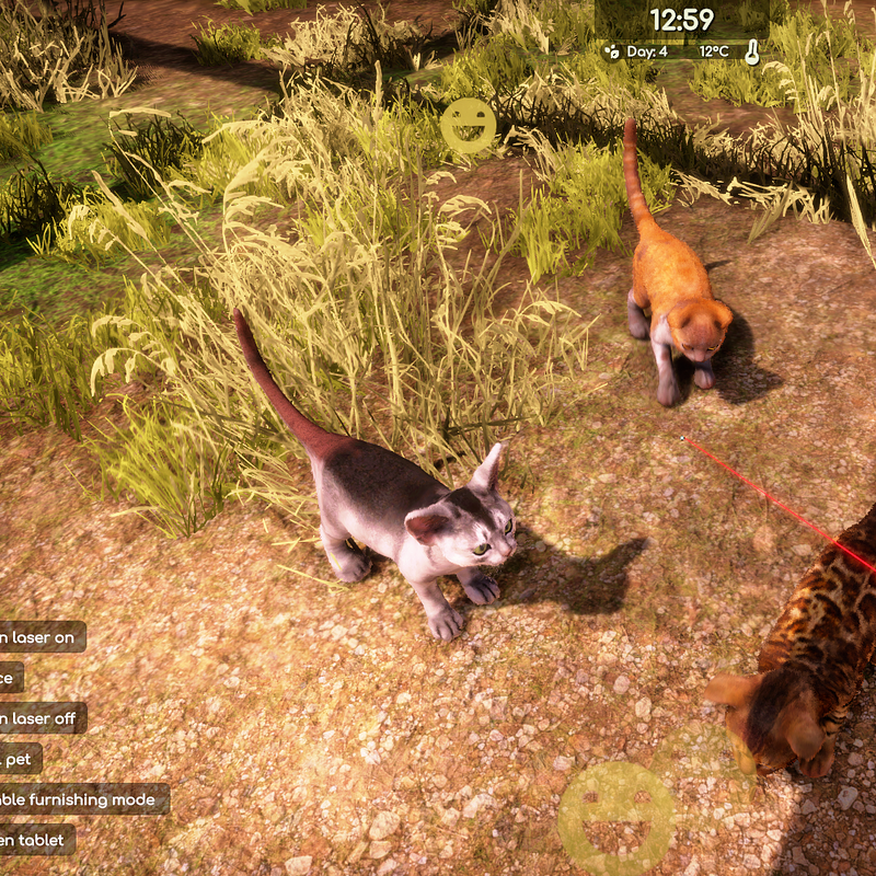 Animal_Shelter_2_screen_03 (2).png