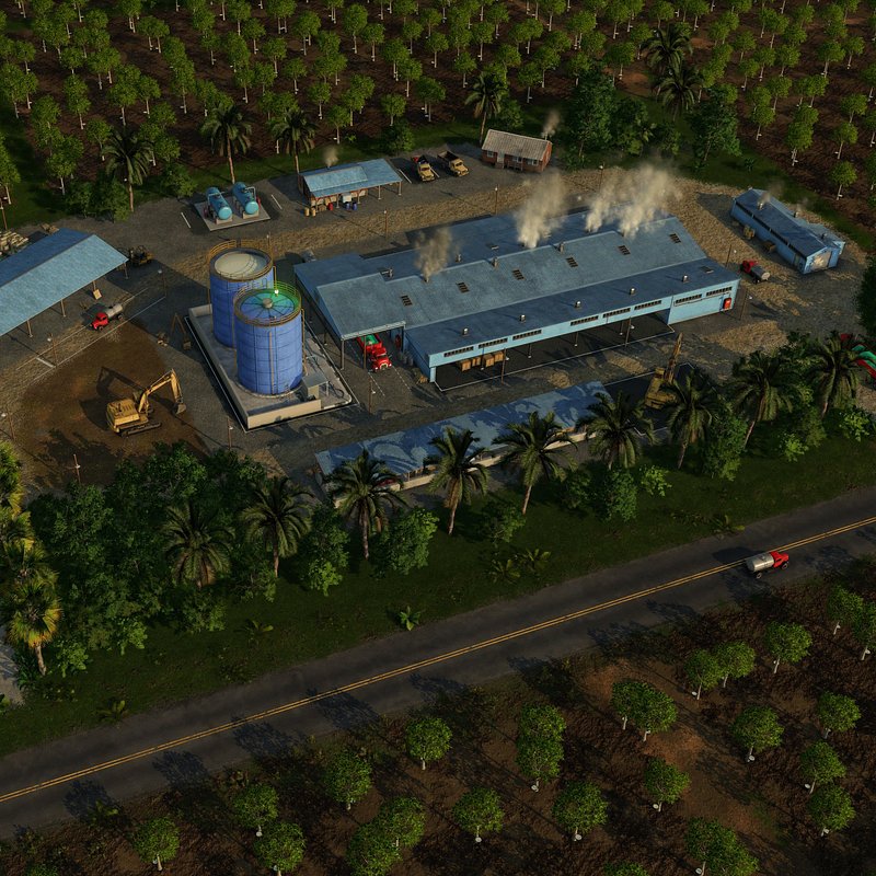 Rubber Farm (1).jpg