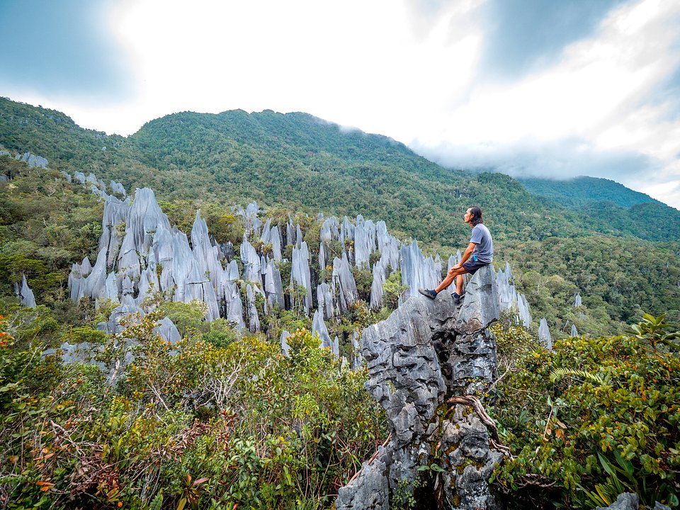 STB - Mulu National Park Pinnacles.jpeg