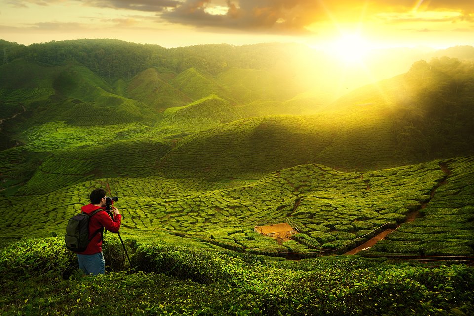 Cameron Highlands 2.jpeg