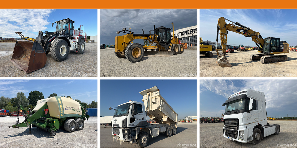 Highlights of Caorso Auction - July 2026.png