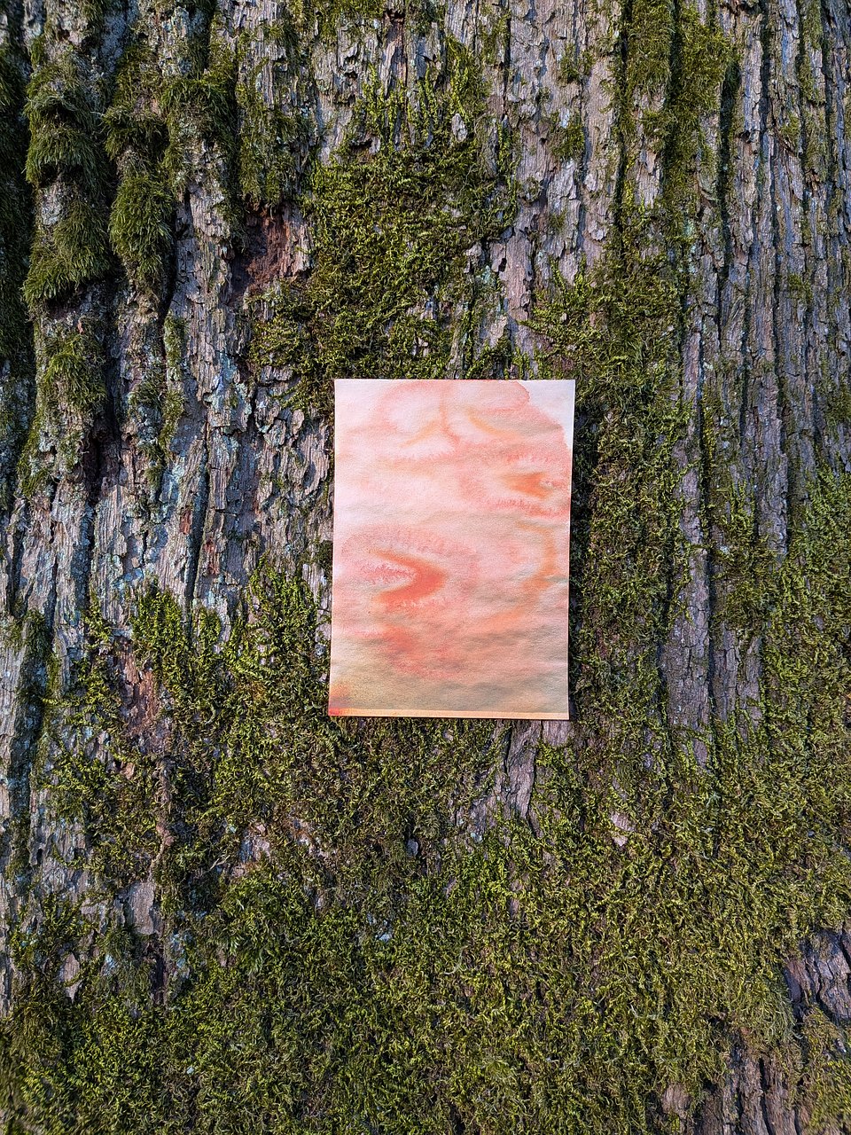 Agata Borowa, Zachodów słońca malować nie wypada, 2024, akwarela na papierze, 30×21 cm