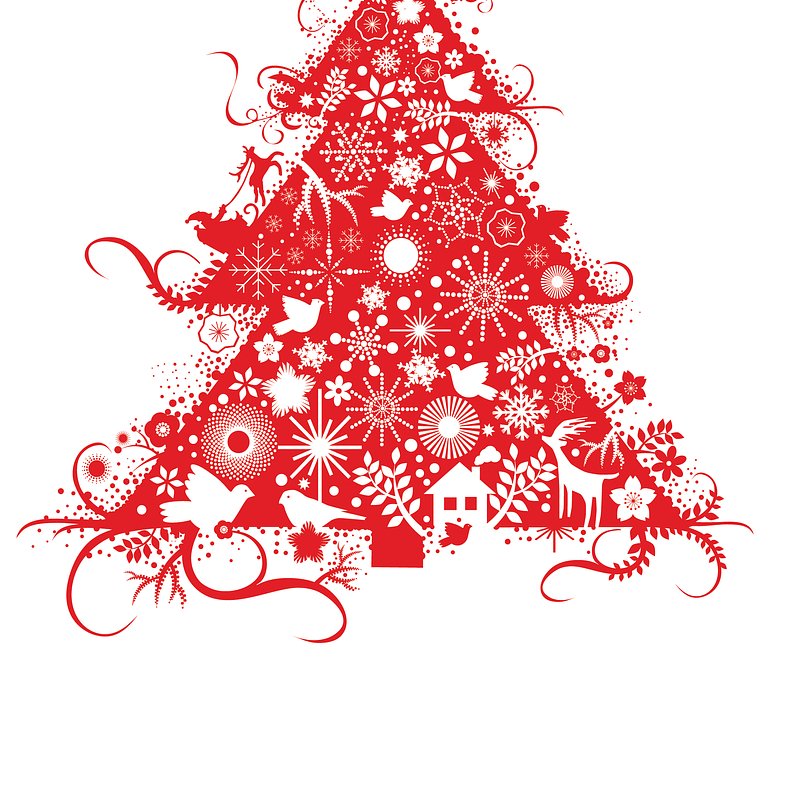 Natalia Tilszner1287_XB_bez spadu.jpg