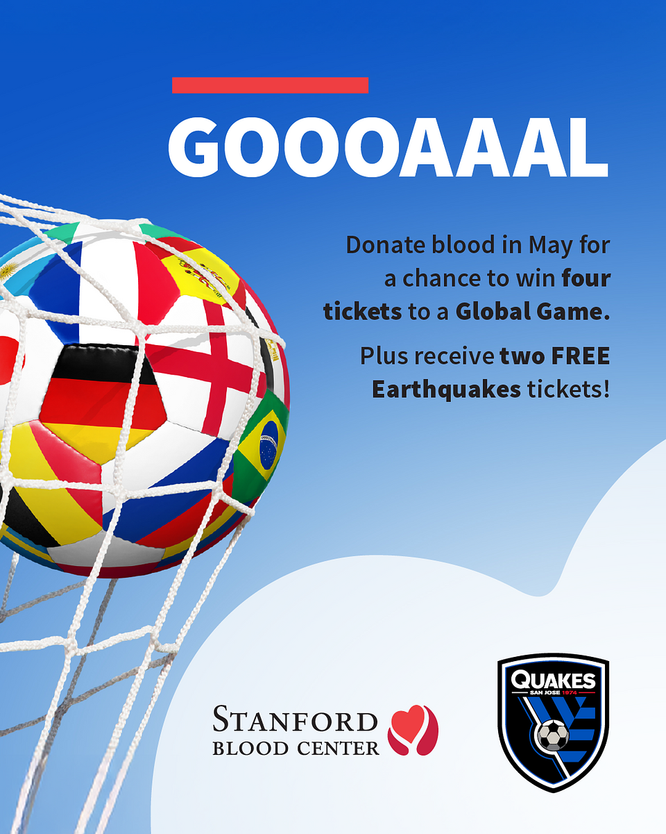 Earthquakes and Global Game Image 2
