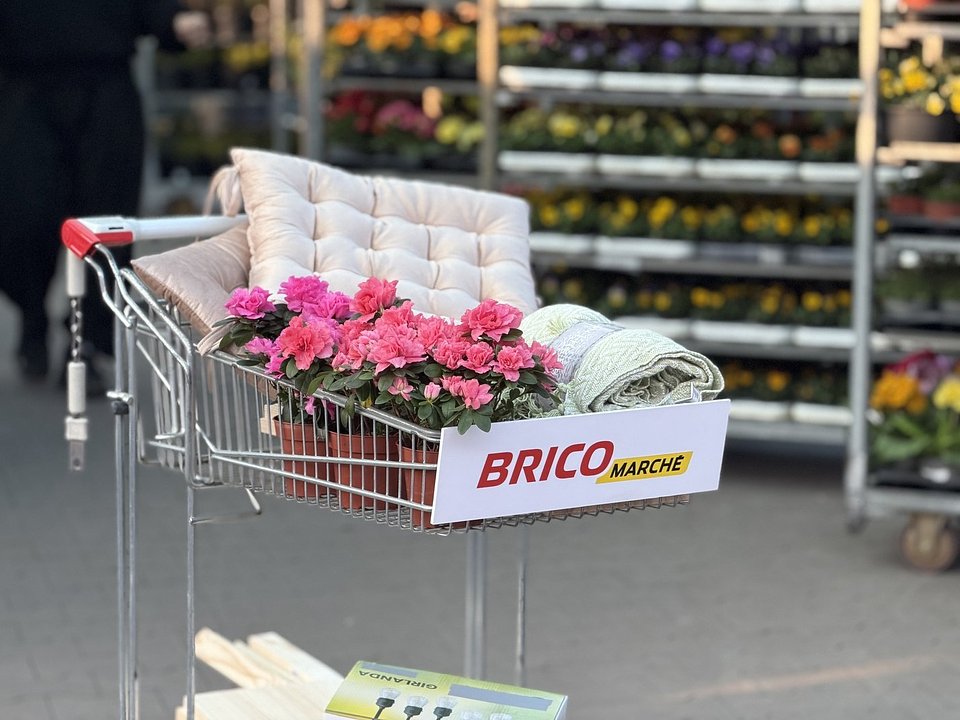 materiały prasowe Grupy Muszkieterów [2].jpg