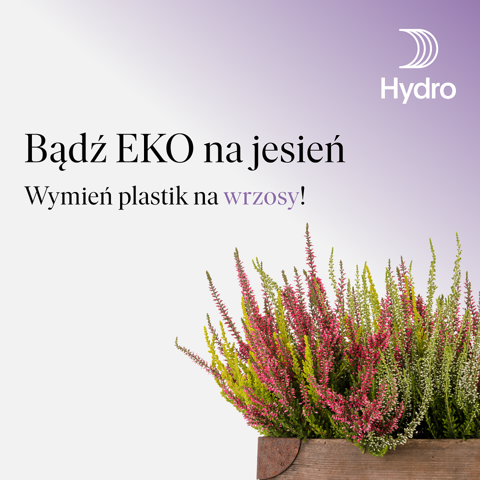 wrzosy - badz eko na jesien pt1.png