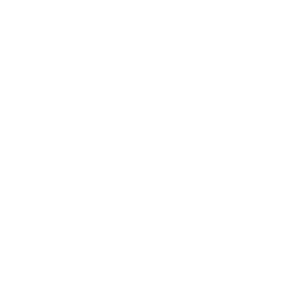 RL MEDIA_LIGHT MODE.png