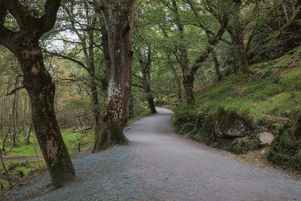 Glendalough Green Road Walk.png